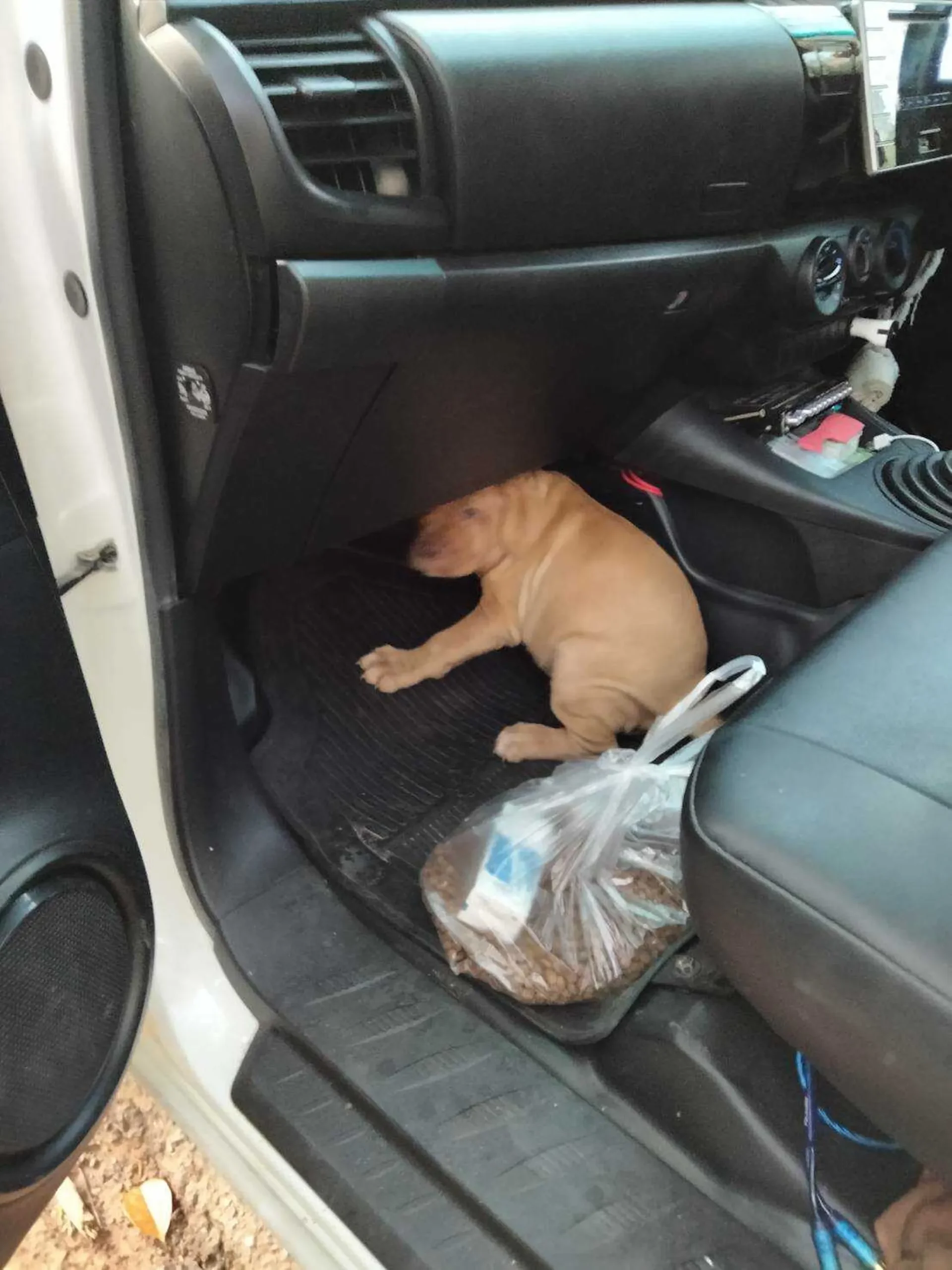 bn-portfolio-12_result